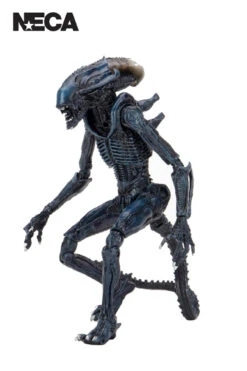 Alien Vs Predator - Arachnoid Alien 7" Action Figure